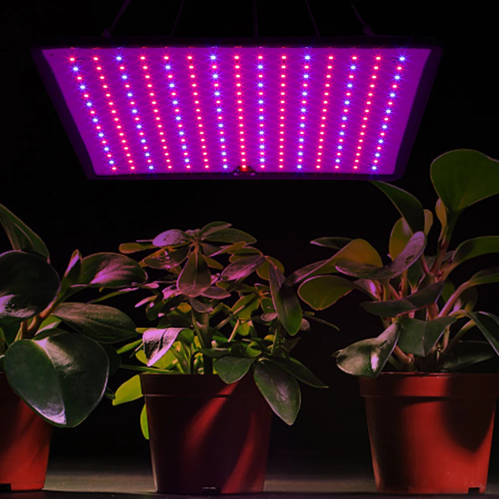Grow Light With Tent Red Blue LED