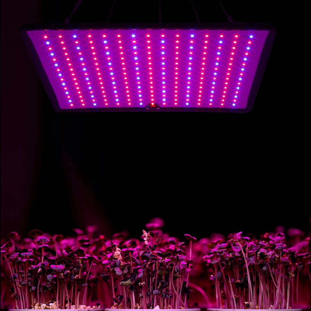 Grow Light With Tent Red Blue LED