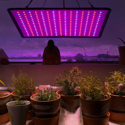 Grow Light With Tent Red Blue LED