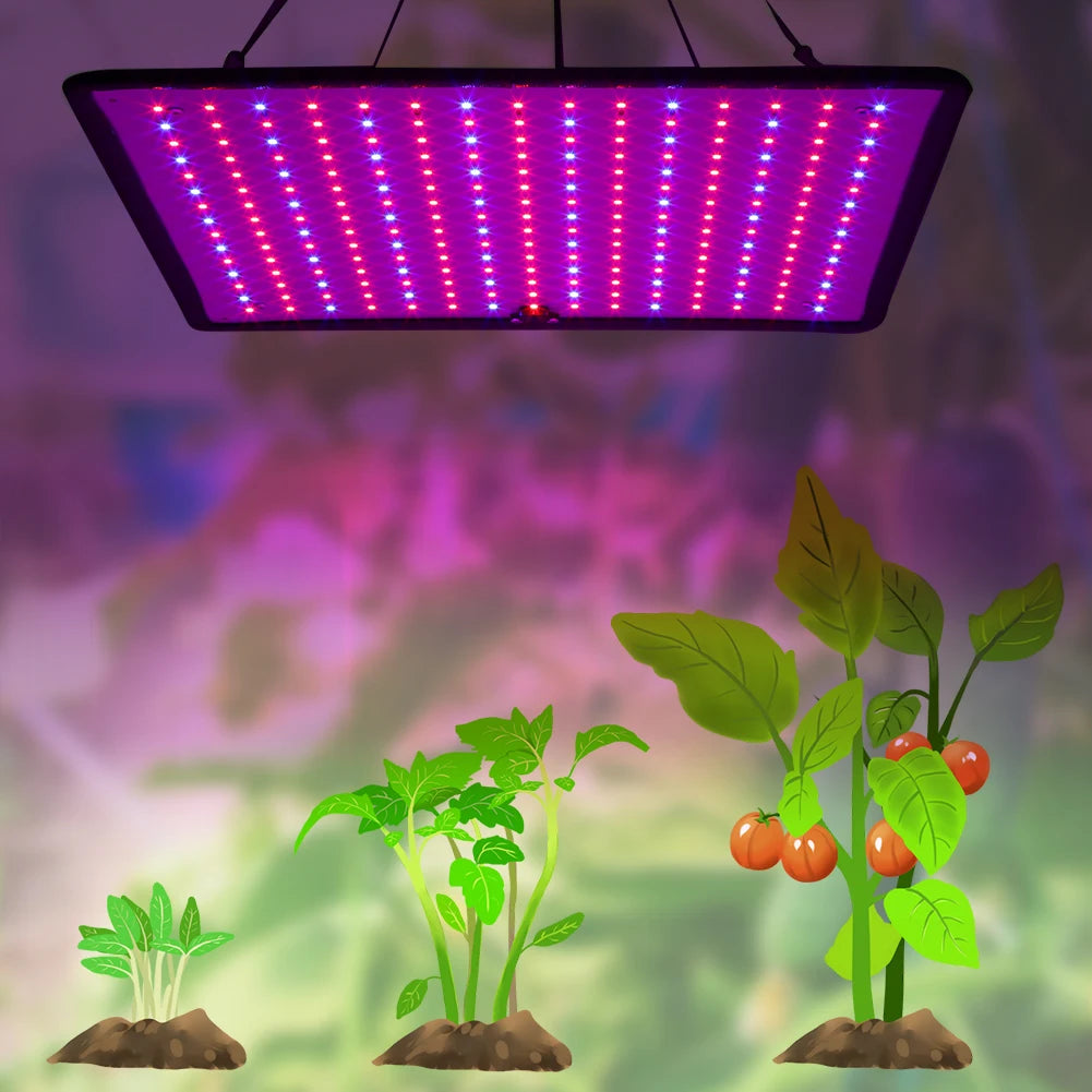 Grow Light With Tent Red Blue LED
