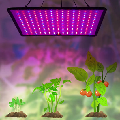 Grow Light With Tent Red Blue LED